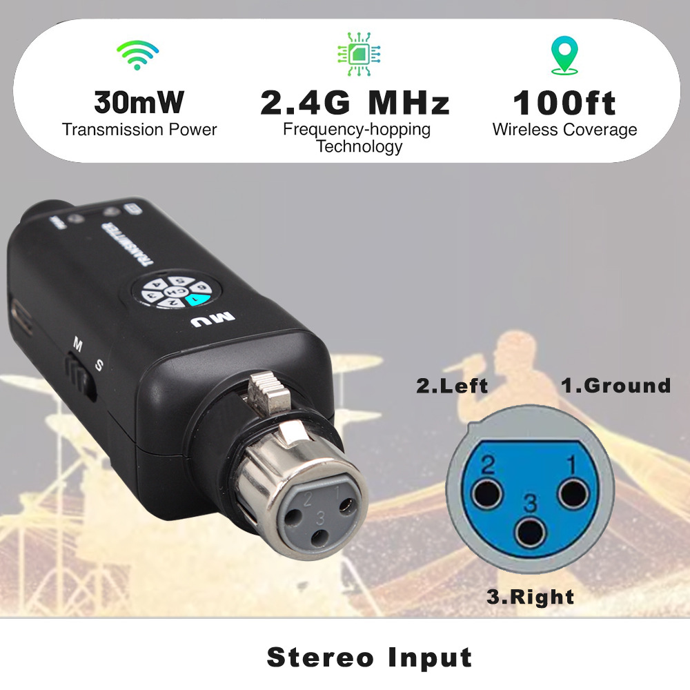 2,4G Kabelloses In-Ear-Monitor – In Ear Monitors For Singers Bewertung und Preis